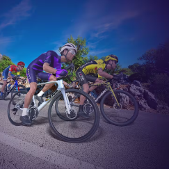 ROUVY Training Camp