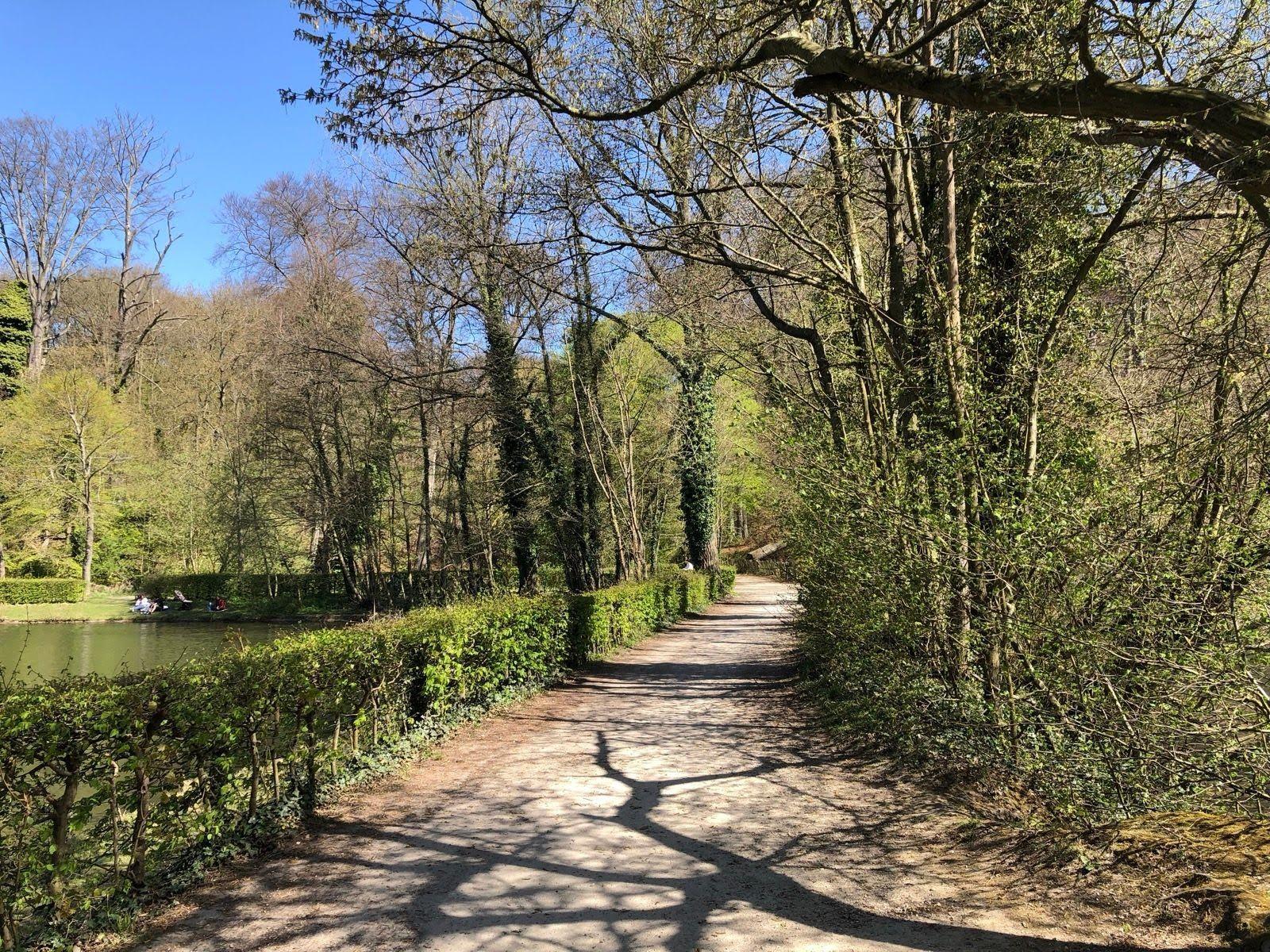  views in the Sonian Forest.jpg