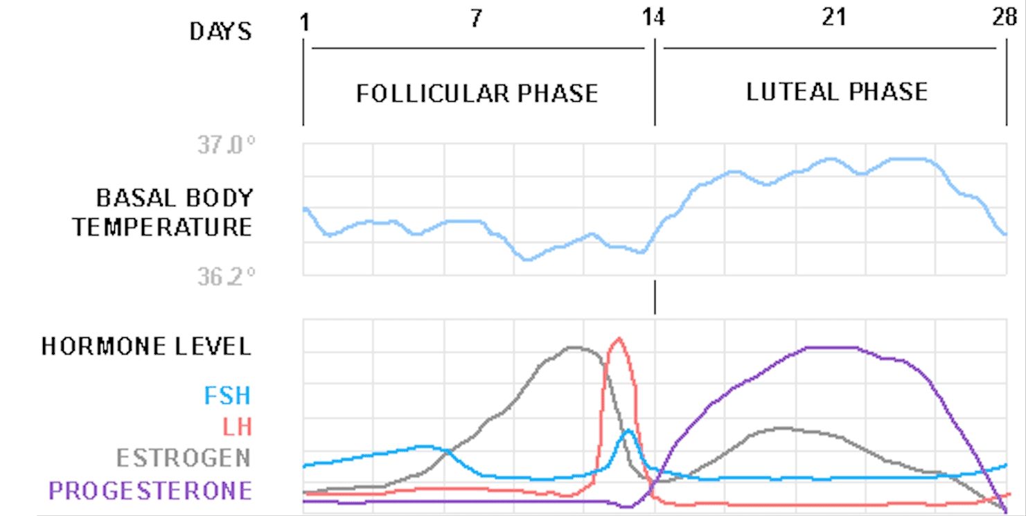Snímek obrazovky 2023-11-08 v 14.27.10.png