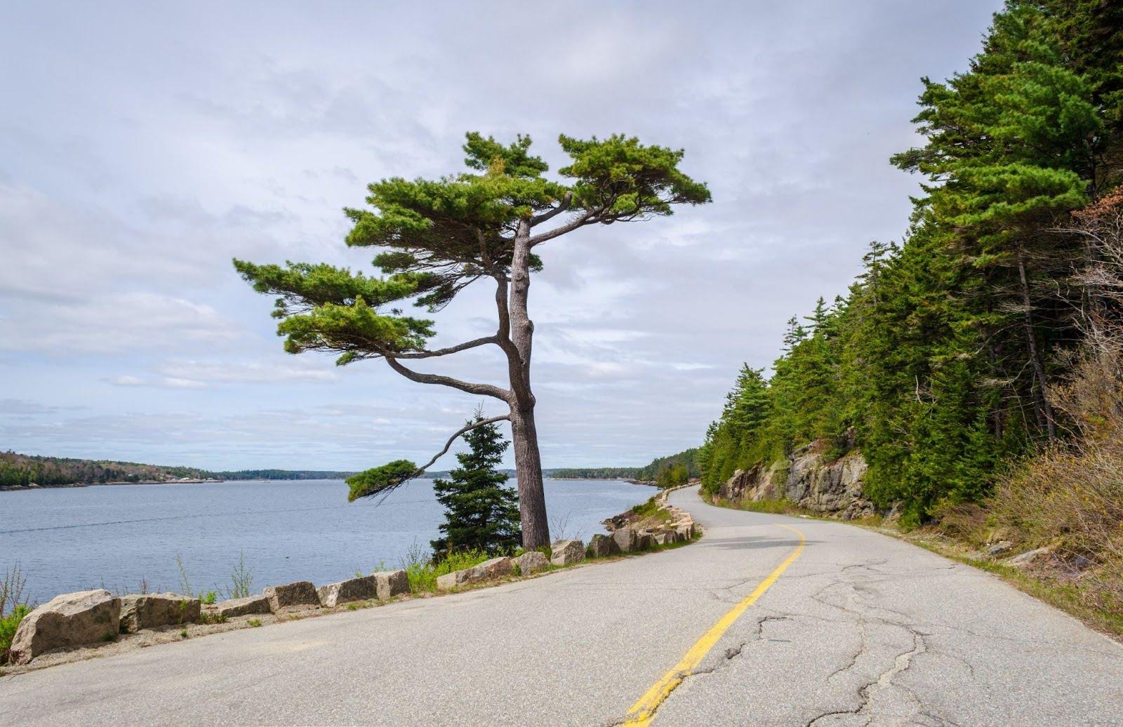 Acadia National Park.jpg