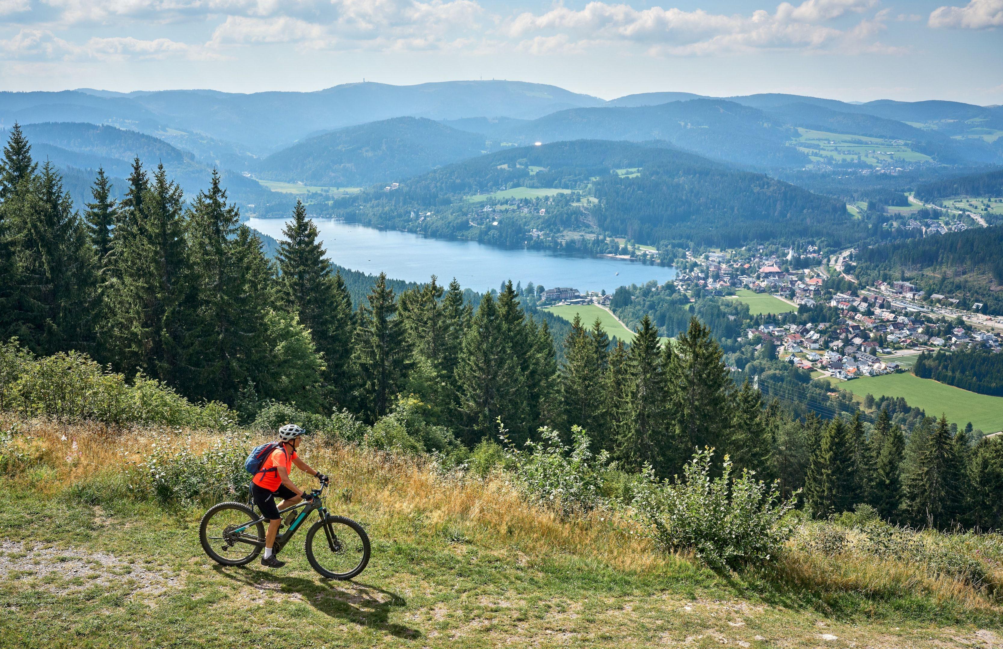 black forest panorama.jpeg