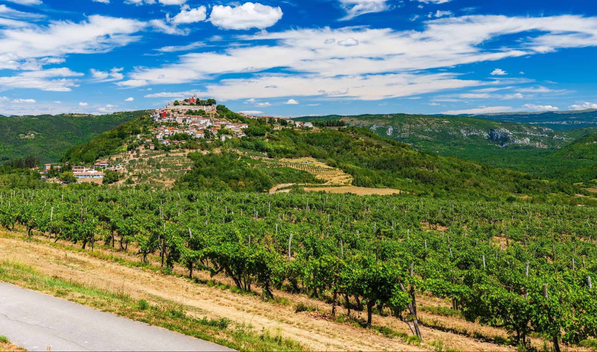 Rolling road through the green hills of Istria on a cycling trip in Croatia
