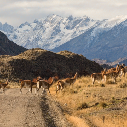 Ride where the wild still wins