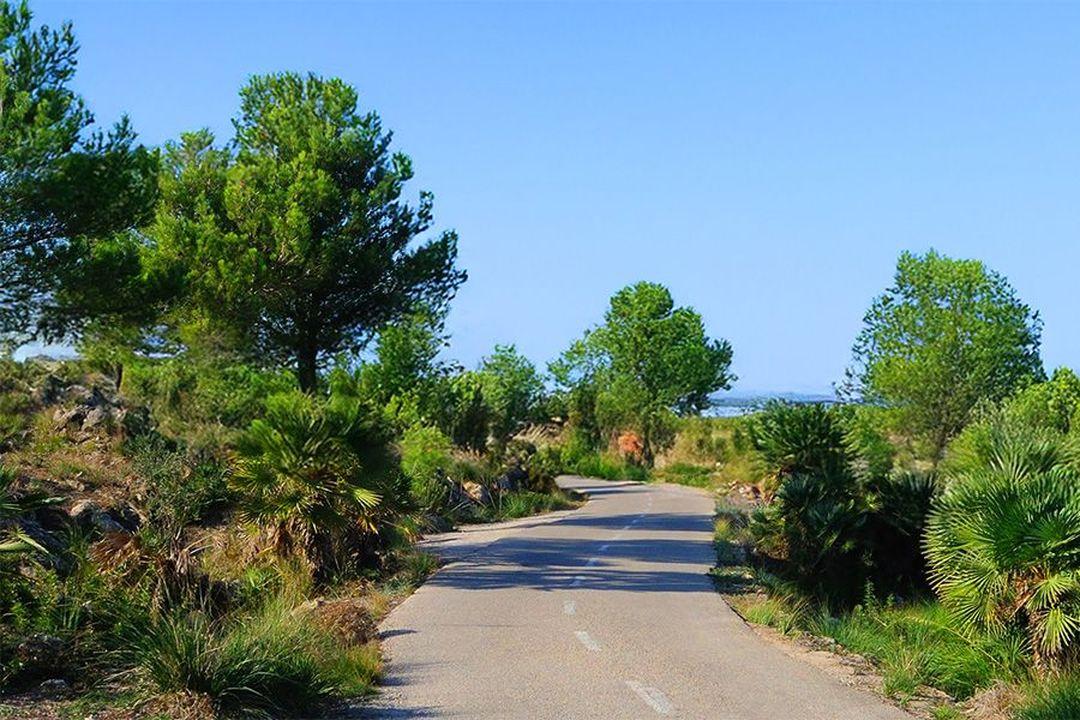 Petra to Manacor | Mallorca