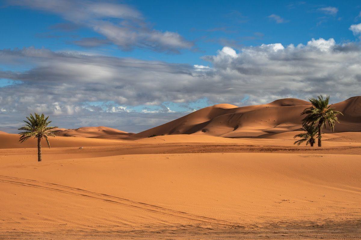 Merzouga - Erg Chebbi | Morocco