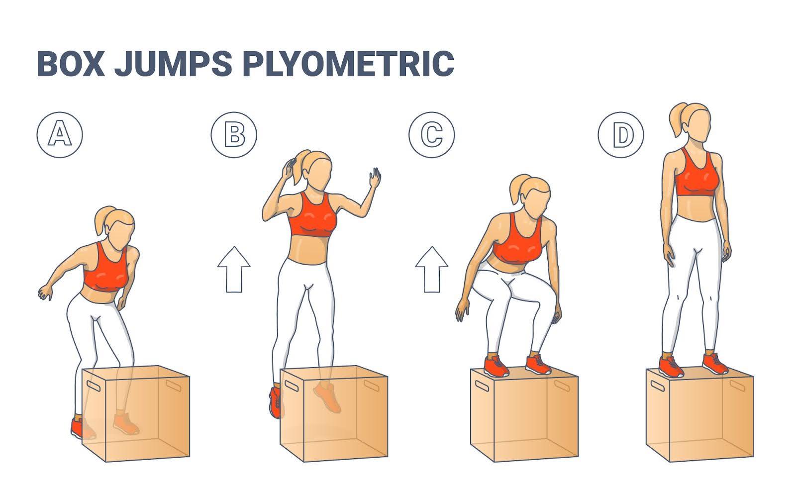 Plyometric Leg Exercises: Box Jumps