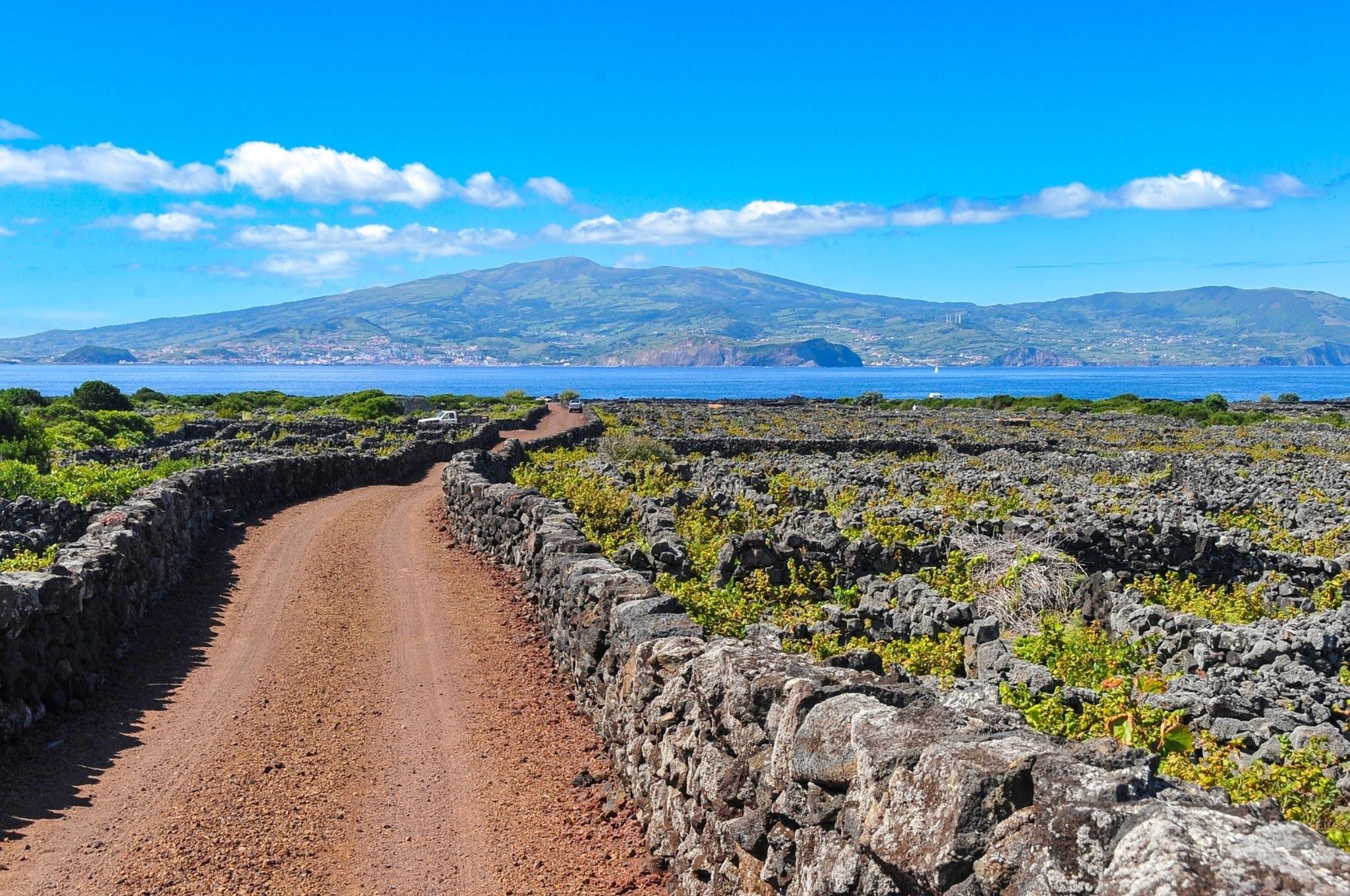 Pico Island in the Azores is perfect for cycling