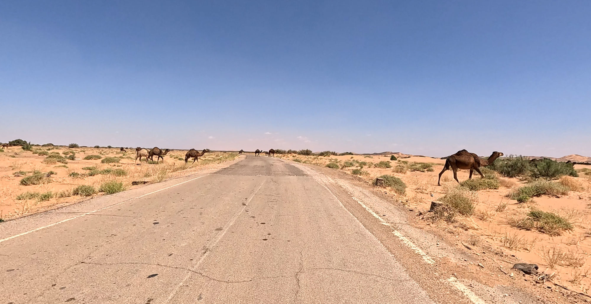 Cycling in Morocco: Merzouga and the Erg Chebbi dunes