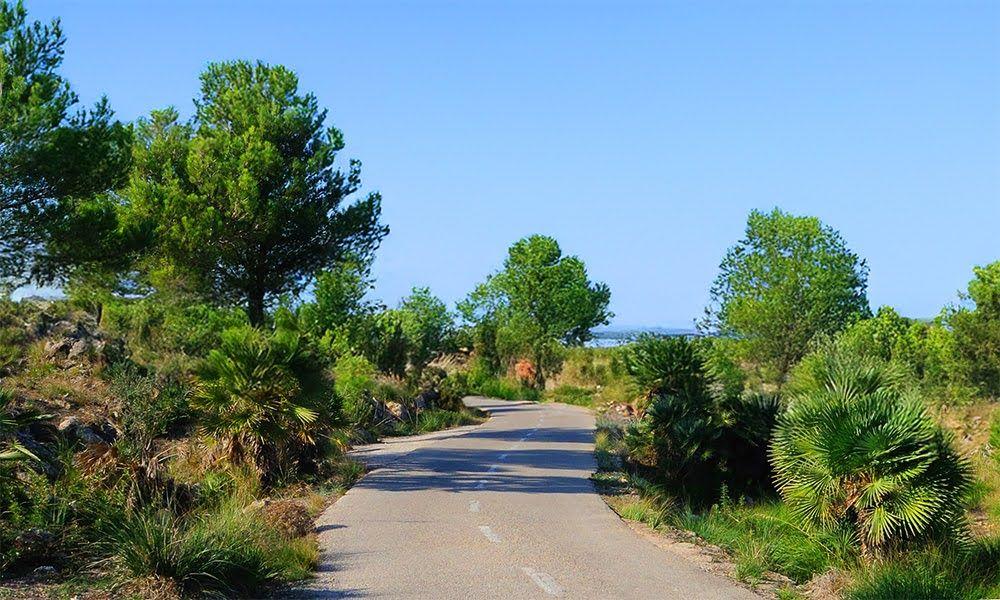 Petra to Manacor - Mallorca.jpg