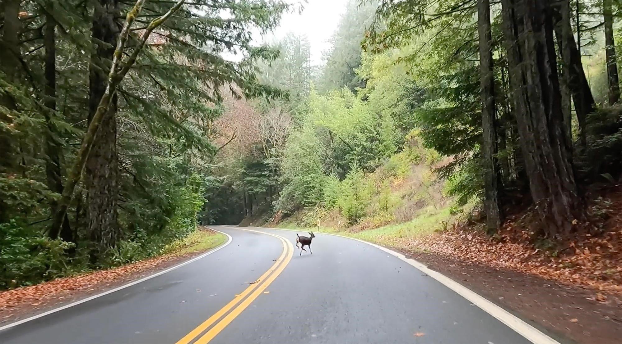 FIND THE HIDDEN GEMS ON THE ROUVY INDOOR CYCLING APP