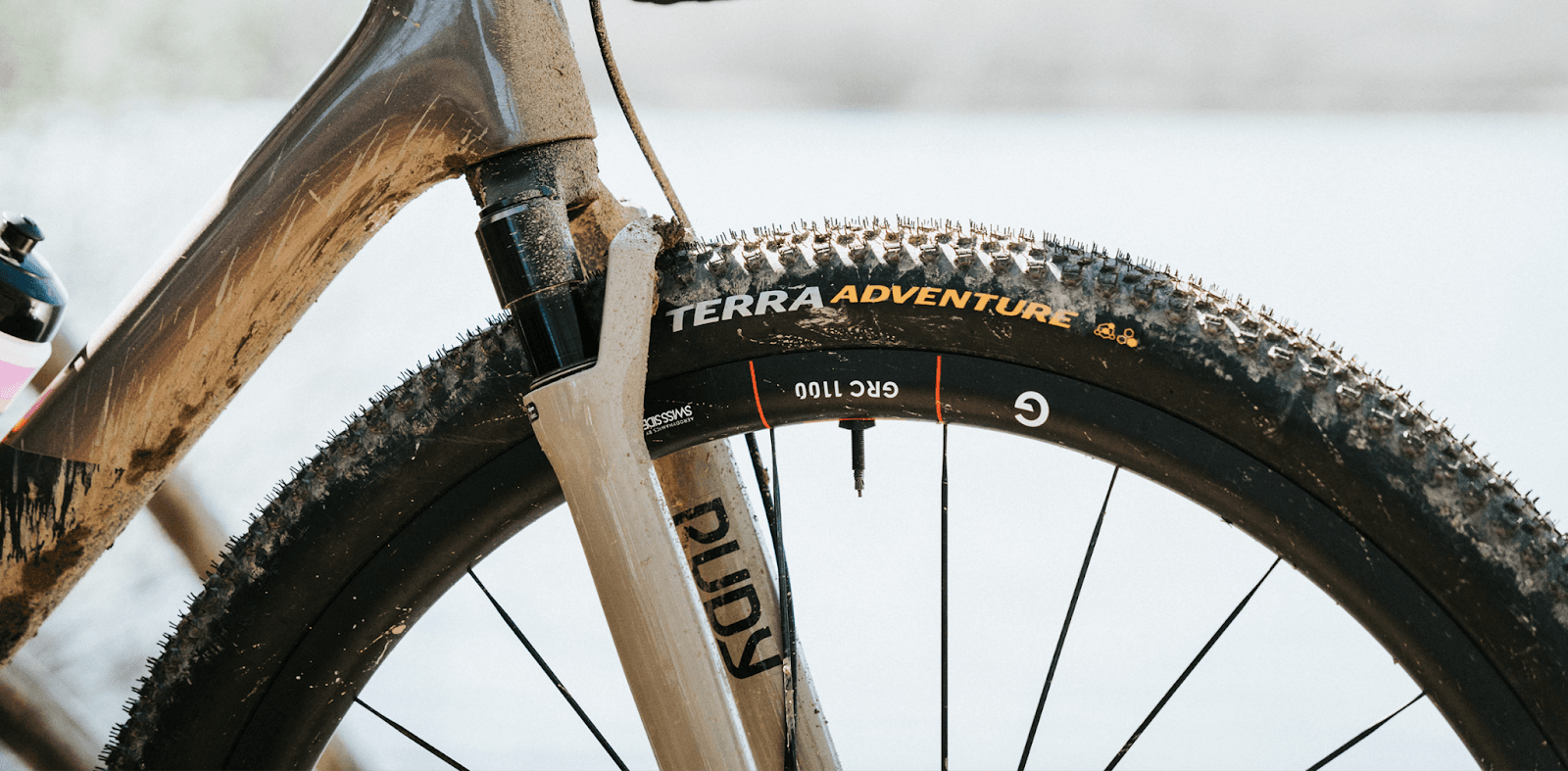 continental terra.png