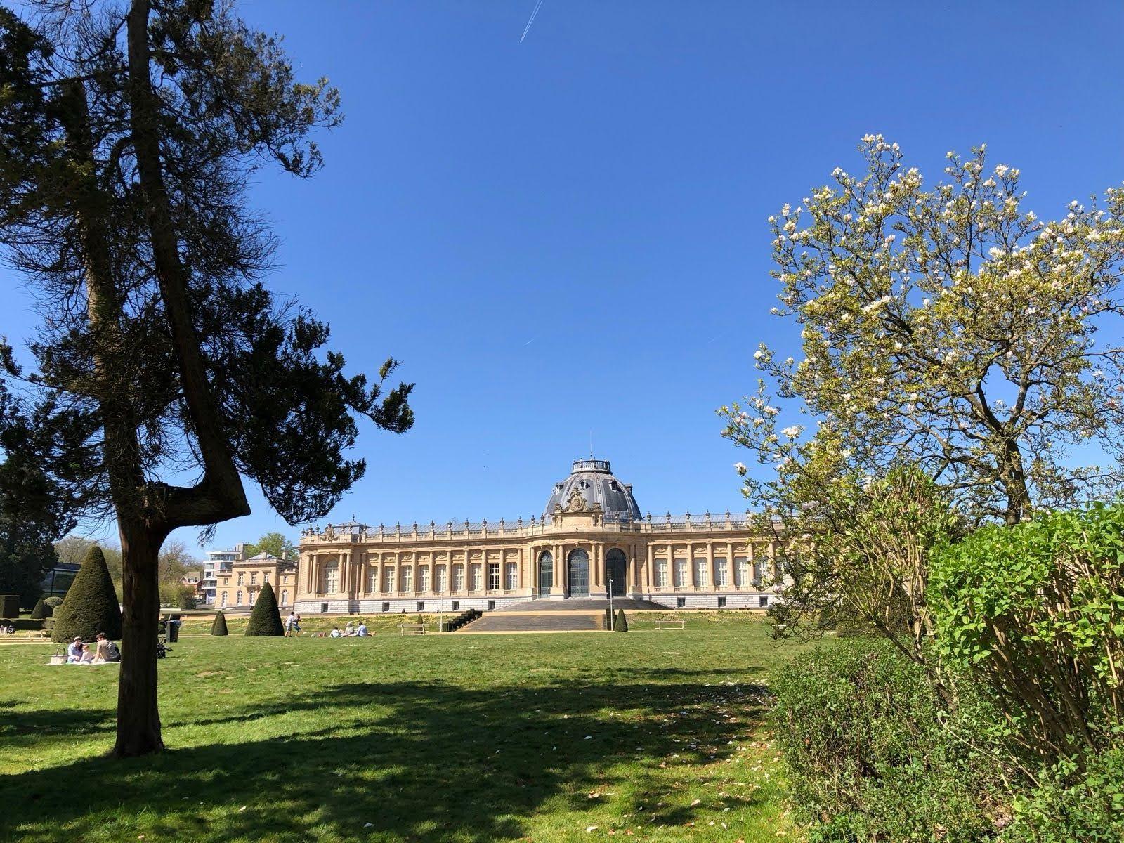 Sonian Forest area.jpg