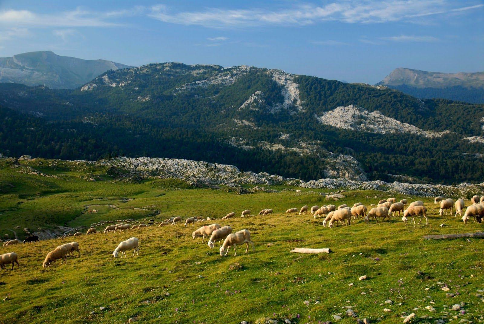 Larra Belagua landscapes.jpg