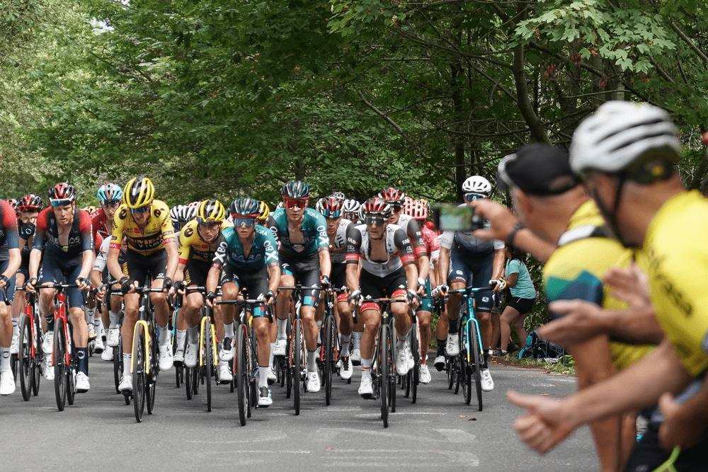 Gears, Guts and Glory: The Grand Tours of cycling