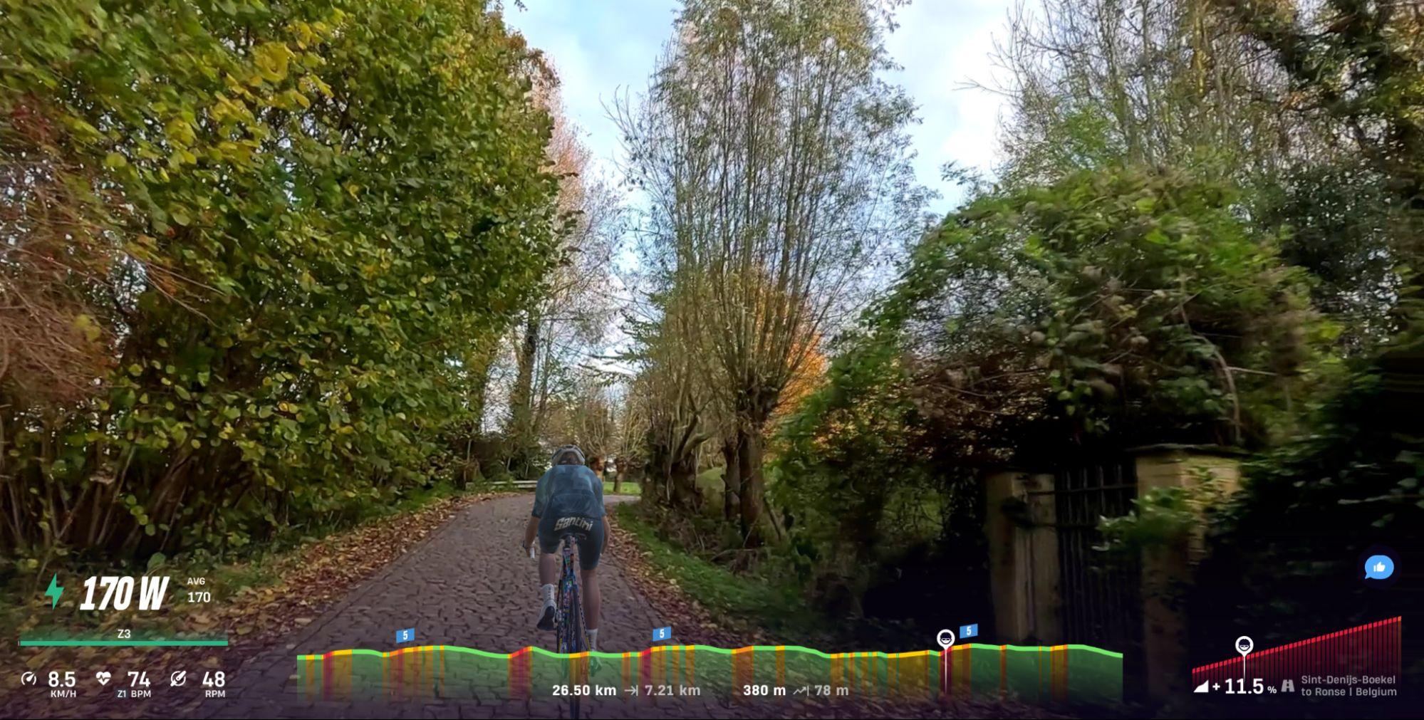 Tackling the steep Berg Ten Houte, one of the several double-digit climbs on this Tour of Flanders segment.