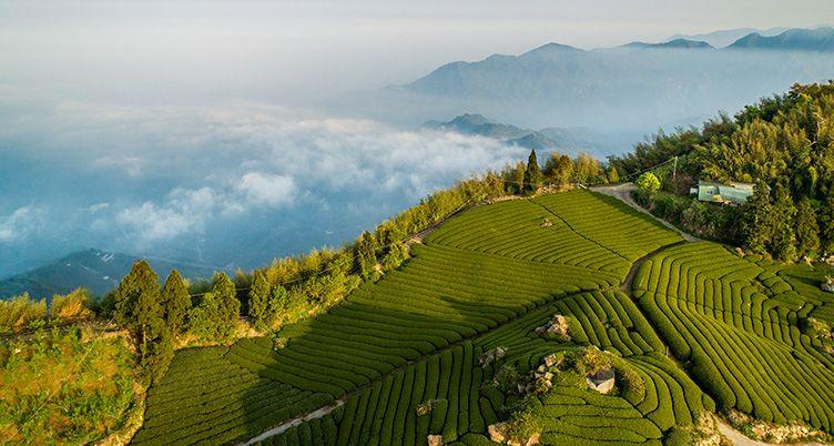 Taiwan