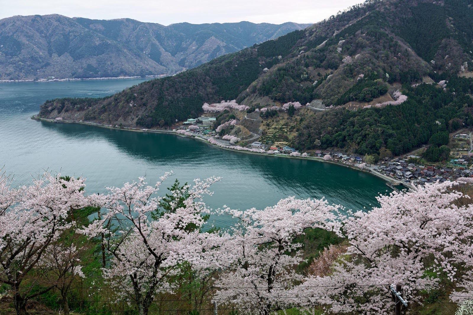 Biwaichi loop: cycling around Lake Biwa