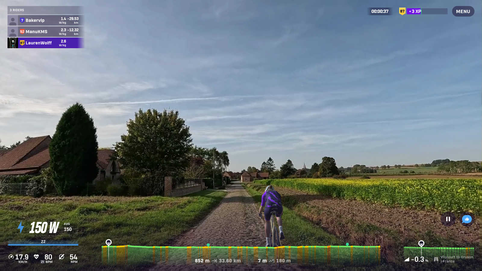 customizable ride.png