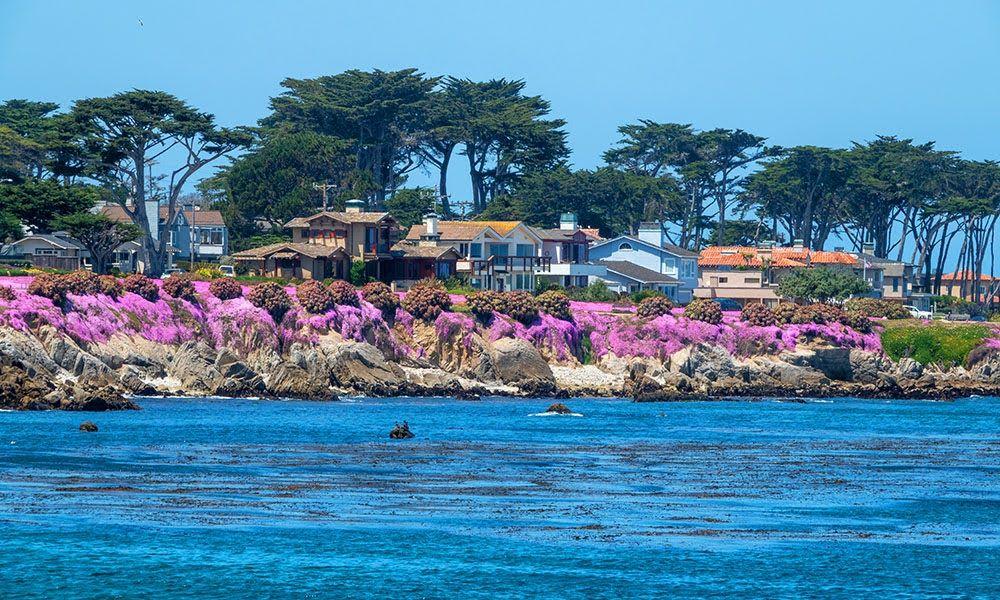 monterey bay.jpg