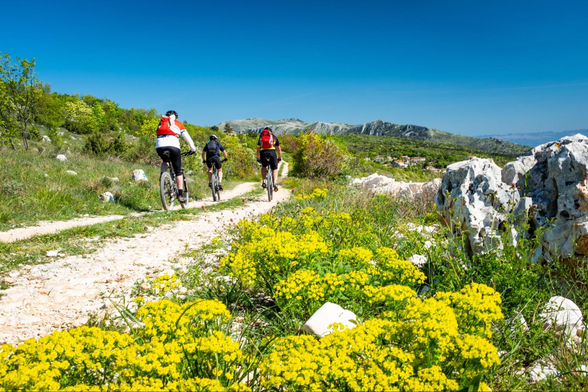 Gravel cyclist riding the Parenzana Trail in Istria, Croatia