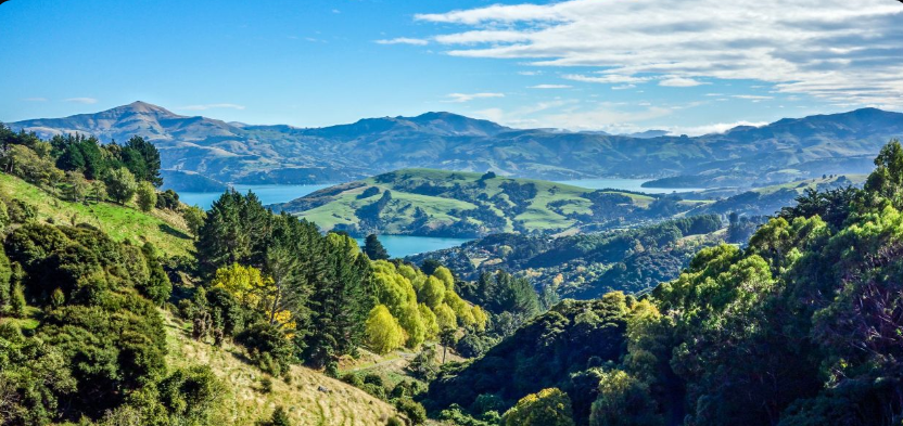 FALL IN LOVE WITH CYCLING AROUND NEW ZEALAND