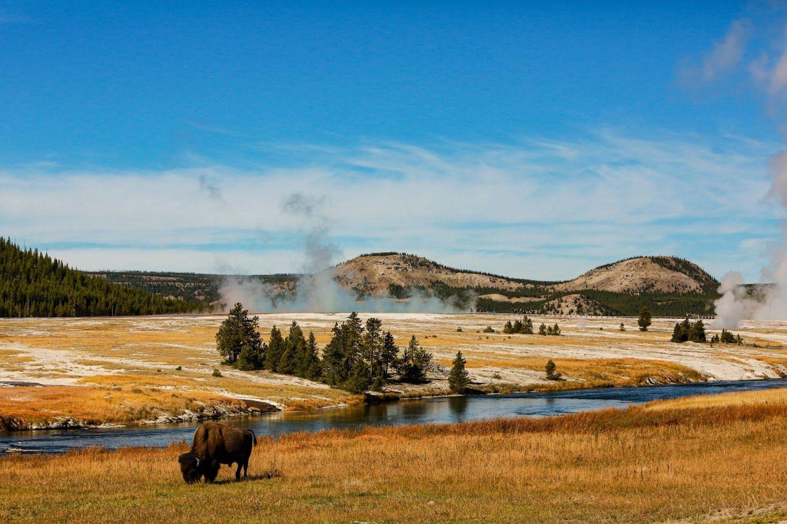 Discovering the Heart of Yellowstone: A Cycling Journey through Geothermal Wonders 
