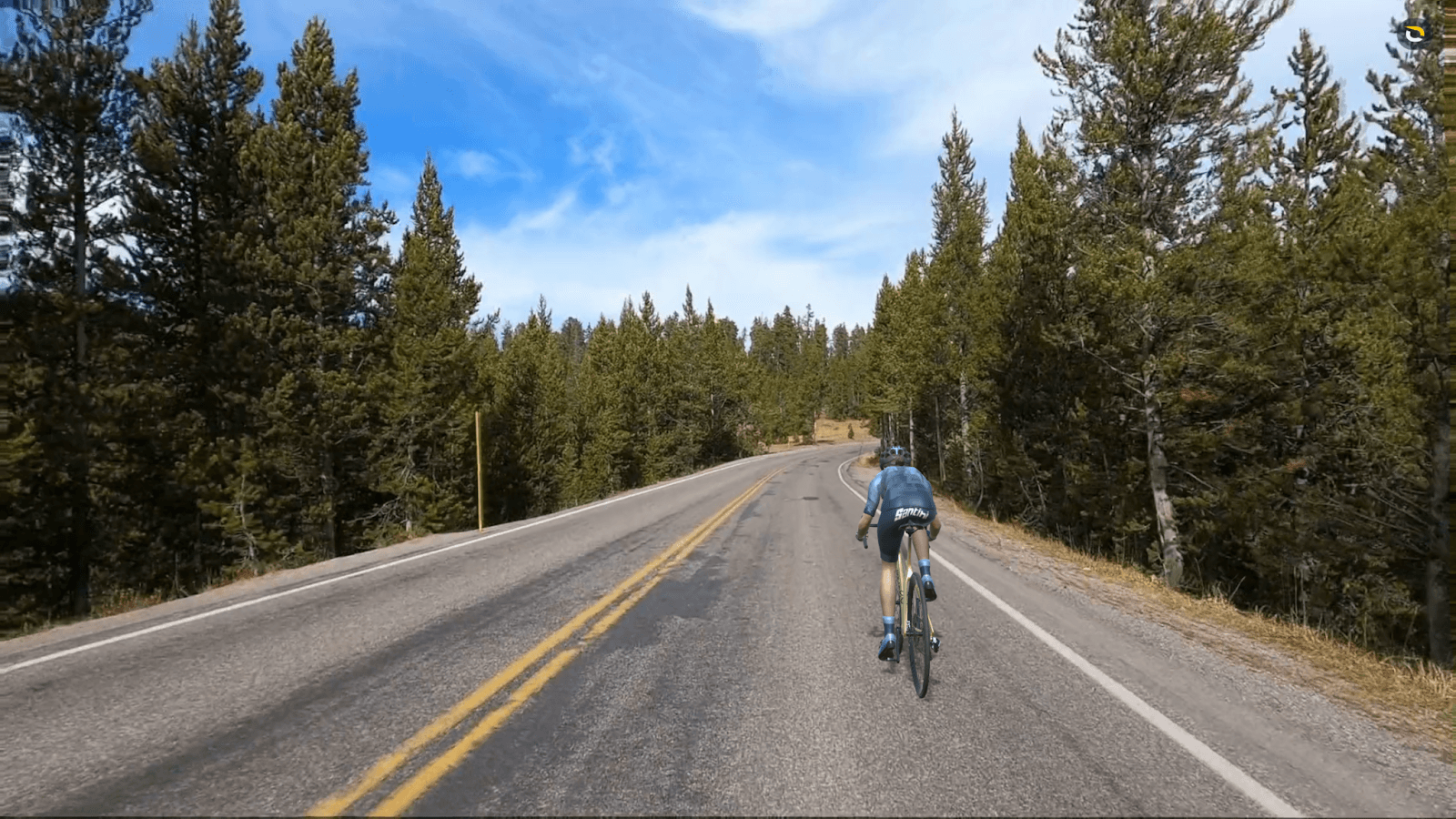  forests of Yellowstone National Park.png