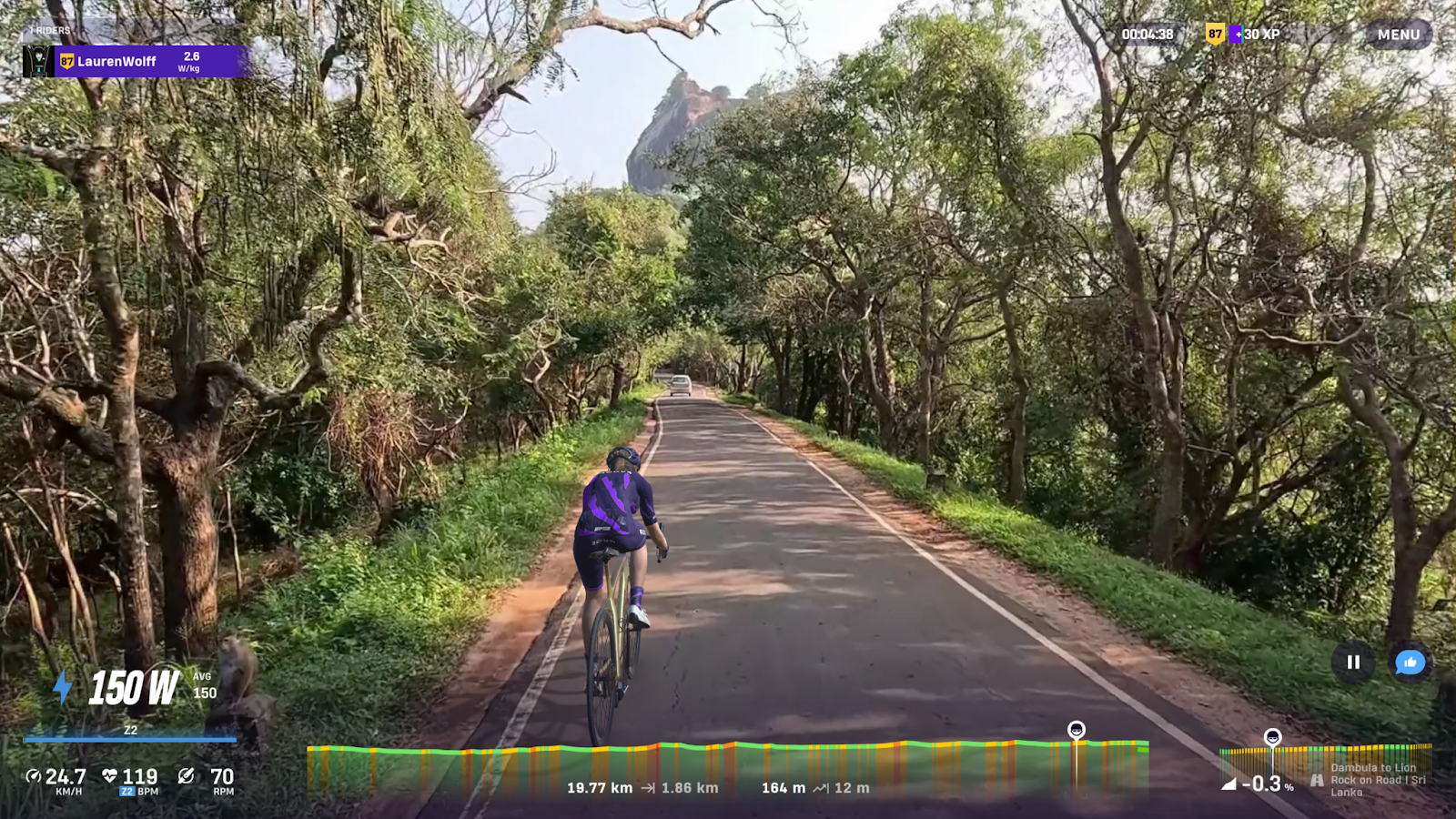 lion rock on rouvy.png