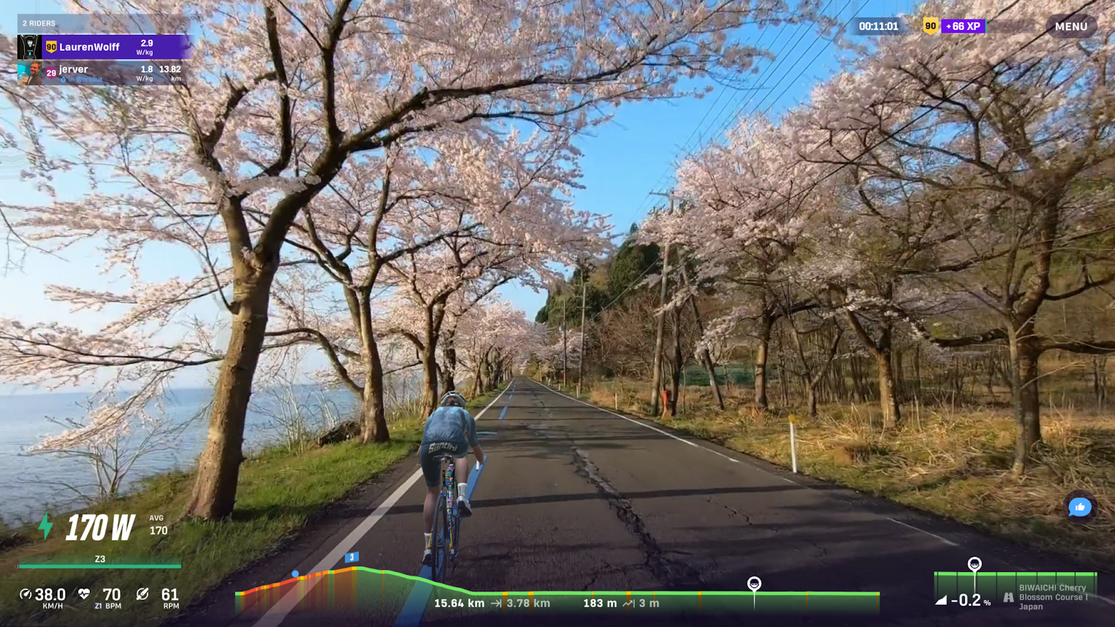 Biwaichi Cherry Blossom Course on ROUVY