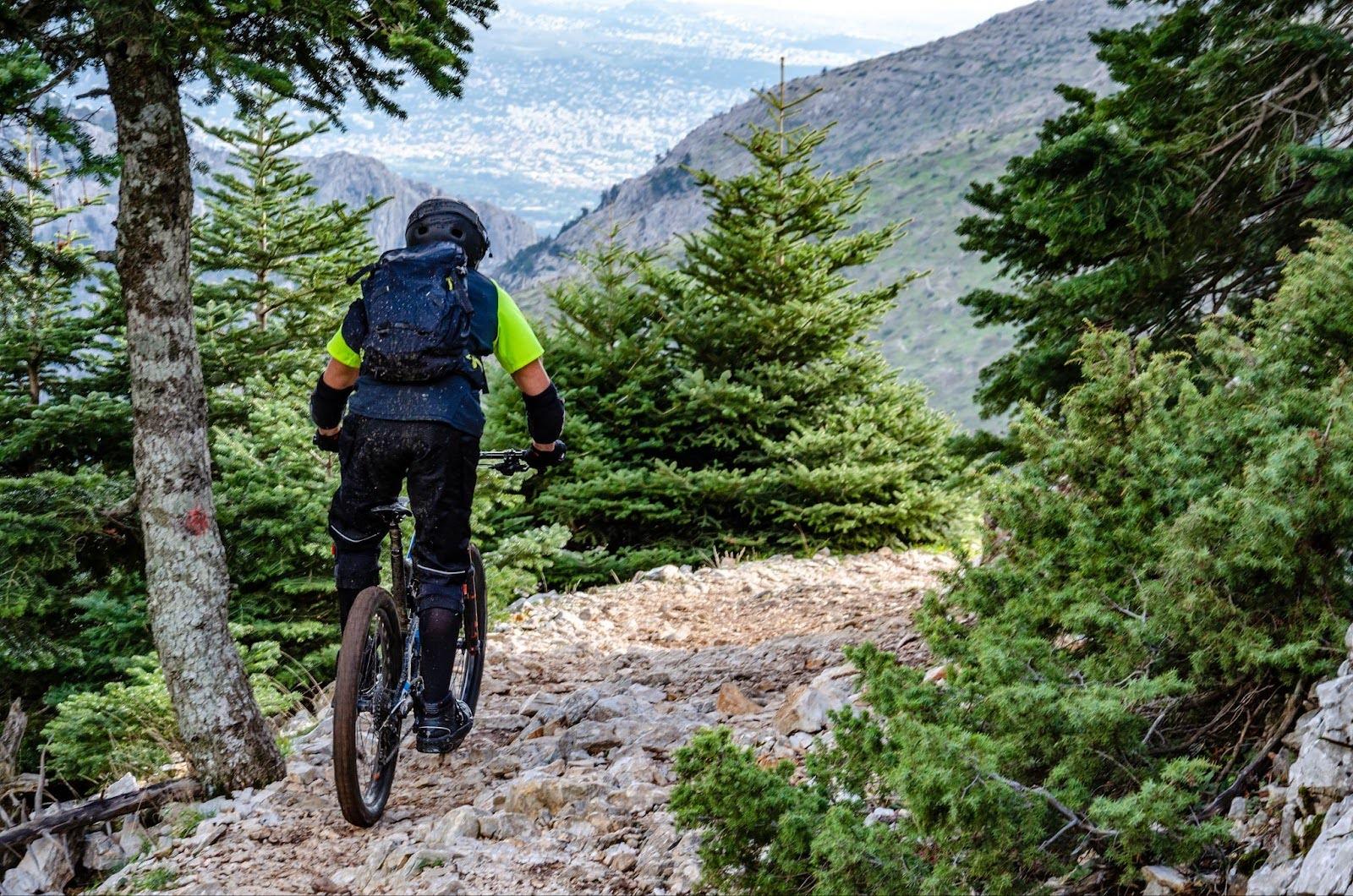 mountain bike trail.jpg