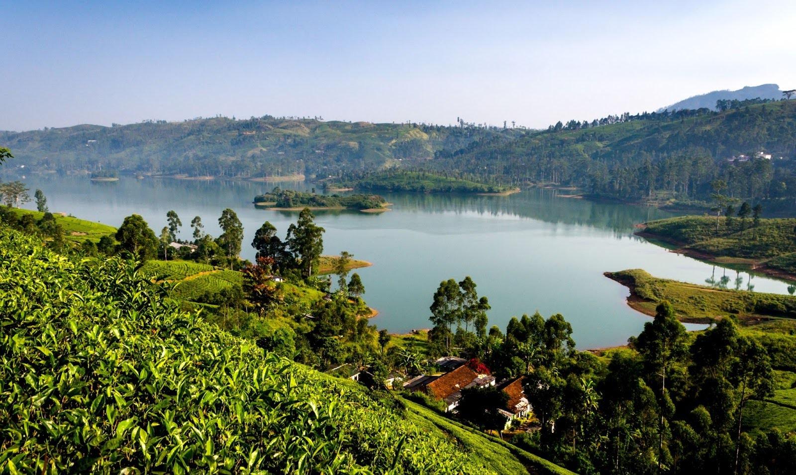 Castlereagh Reservoir.jpg