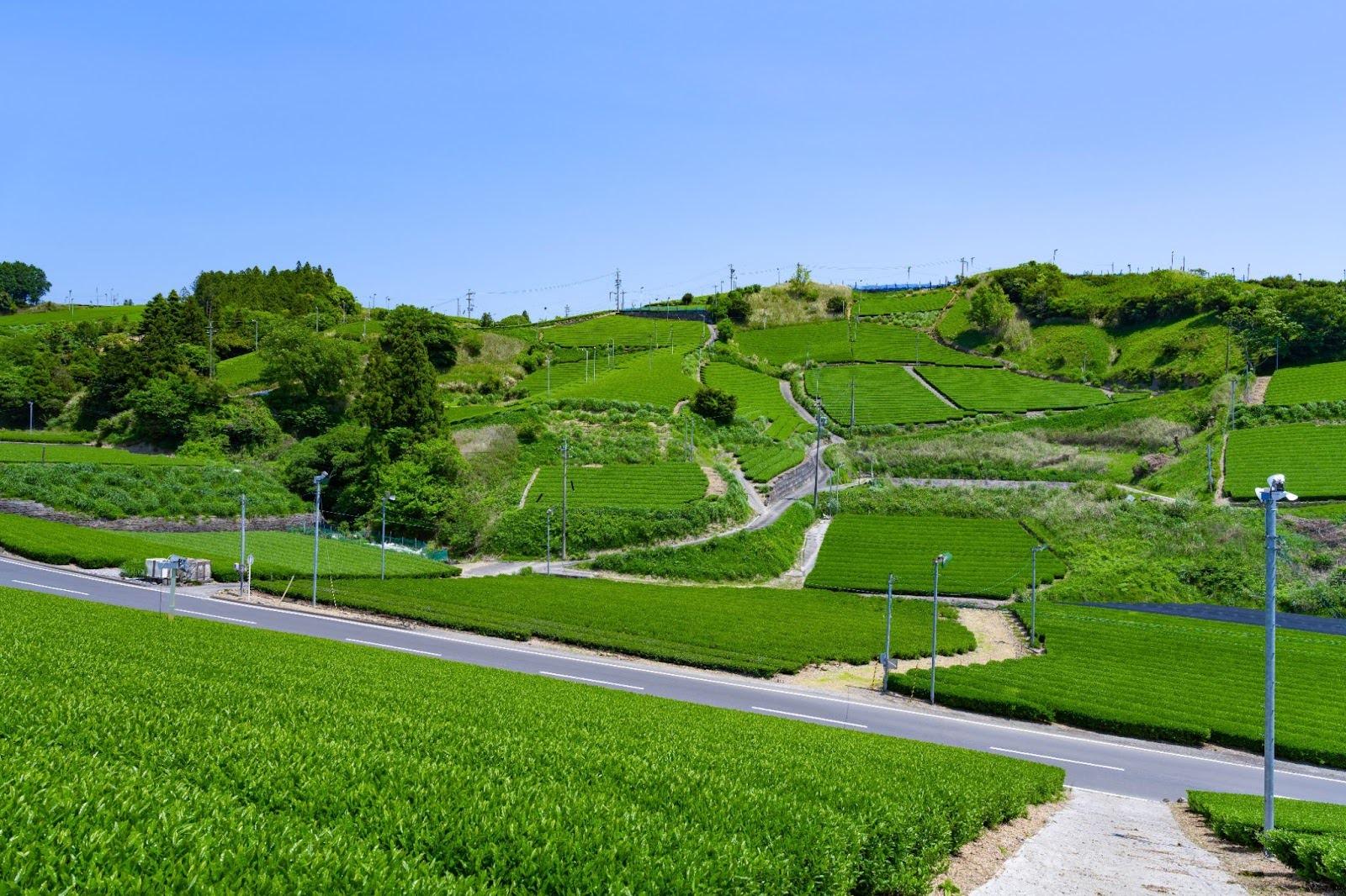 Kyushu and southern Japan.jpg